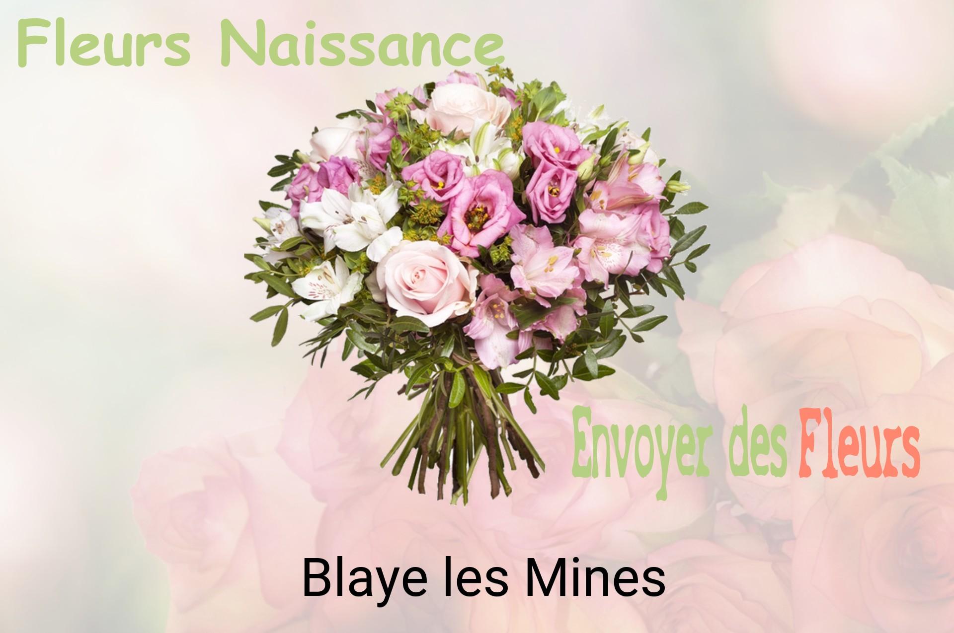 Bouquet de fleurs de naissance livré à Blaye-les-Mines